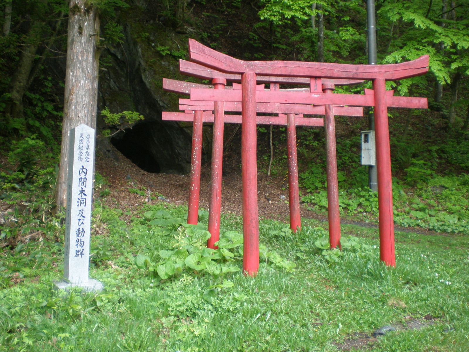 内間木洞及び洞内動物群