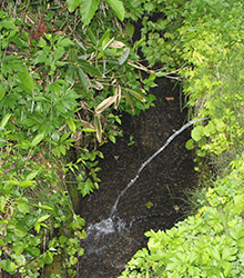 名水